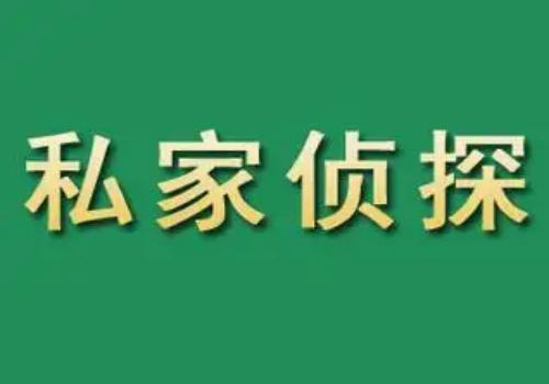 民事诉讼中法院不审核视频证据吗-